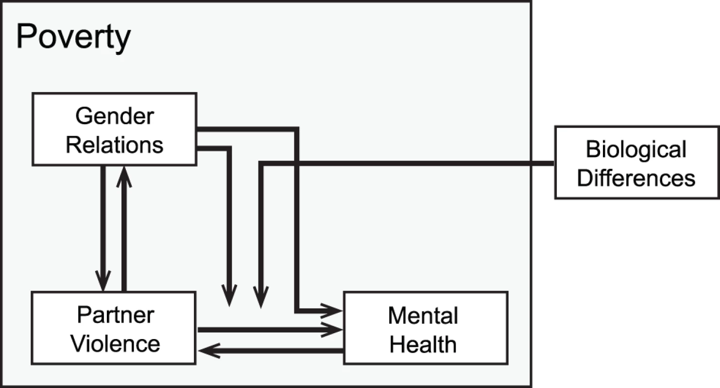 Conceptual framework depicting connections between intimate partner violence and mental health, in the context of poverty, gender relations, and biological differences between men and women.