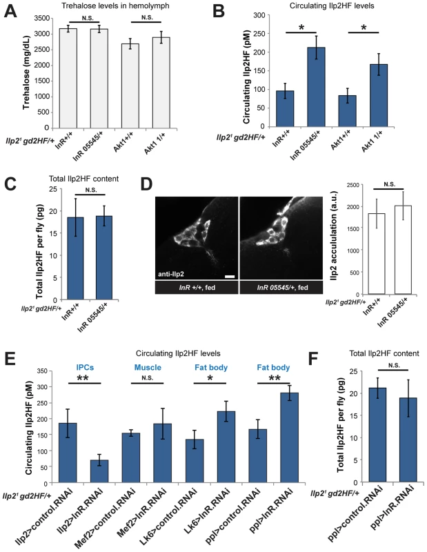 Enhanced insulin secretion from impaired peripheral insulin signaling in <i>Drosophila</i>.
