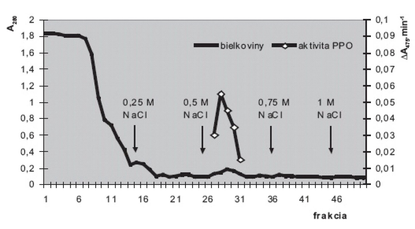 Purifikácia polyfenoloxidázy zo suspenzných kultúr slncovky kalifornskej na stĺpci DEAE-sefarózy Elúcia fosforečnanovými tlmivými roztokmi (50 mmol.l&lt;sup&gt;-1&lt;/sup&gt;; pH 6,5) s postupne sa zvyšujúcimi koncentráciami NaCl (0; 0,25; 0,5; 0,75 a 1 mmol.l&lt;sup&gt;-1&lt;/sup&gt;). Stĺpec: 12 cm × priemer 15 mm; rýchlosť prietoku cca 25 ml.h&lt;sup&gt;-1&lt;/sup&gt;. Prítomnosť bielkovín v zachytených 2,5 ml frakciách monitorovaná meraním absorbancie pri 280 nm (A&lt;sub&gt;280&lt;/sub&gt;); aktivita PPO meraná spektrofotometricky pri 475 nm (A&lt;sub&gt;475&lt;/sub&gt;.min&lt;sup&gt;-1&lt;/sup&gt;). Substrát: dopamín vo výslednej koncentrácii 2 mmol.l&lt;sup&gt;-1&lt;/sup&gt;