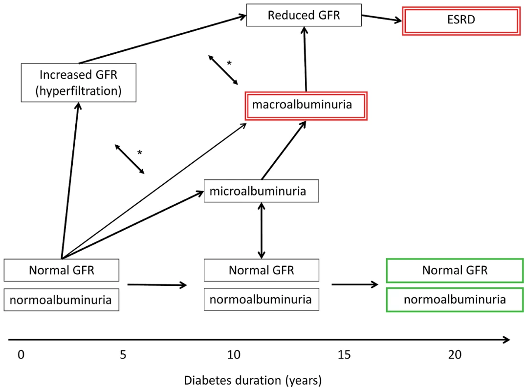 Schematic presentation of variable clinical courses of diabetic nephropathy.