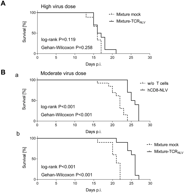Survival of mCMV-NLV-infected NSG/HHD mice upon adoptive transfer of NLV-specific human T cells.