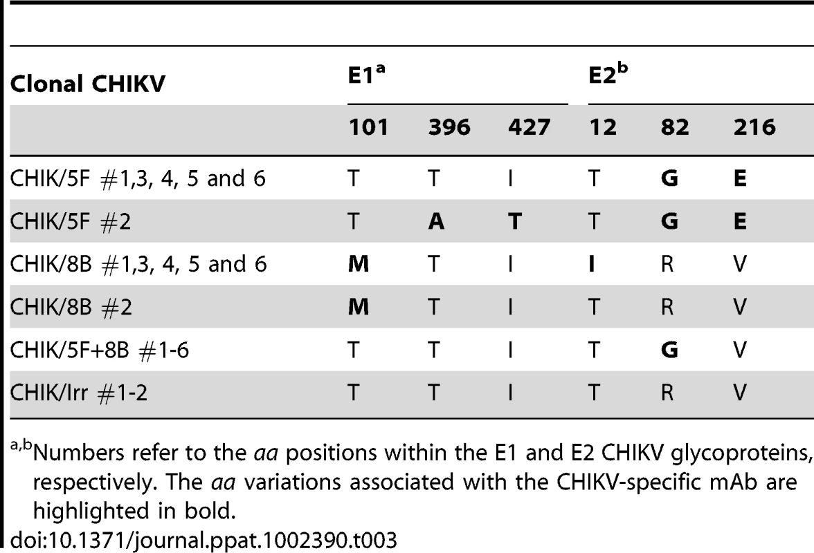 Amino acid variations in the E1 and E2 glycoproteins among clonal CHIKVs.
