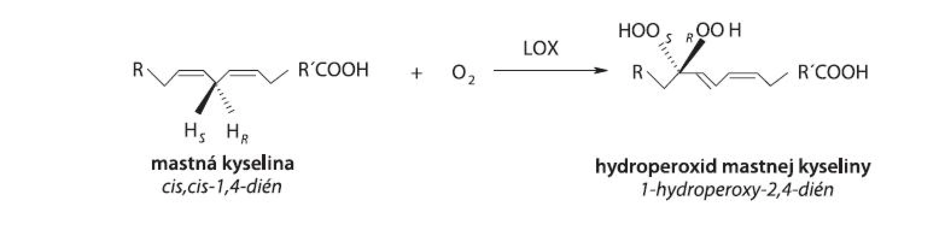 Hydroperoxidácia (1Z,4Z)-penta-1,4-diénovej štrukturálnej jednotky v alifatickom reťazci MK (R,R’: alifatický zvyšok, S,R: stereošpecifické označenie)