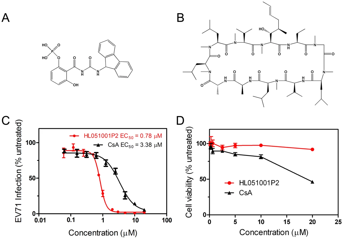 The concentration-dependent reduction of EV71 RNA following treatment with compound HL051001P2 and CsA.