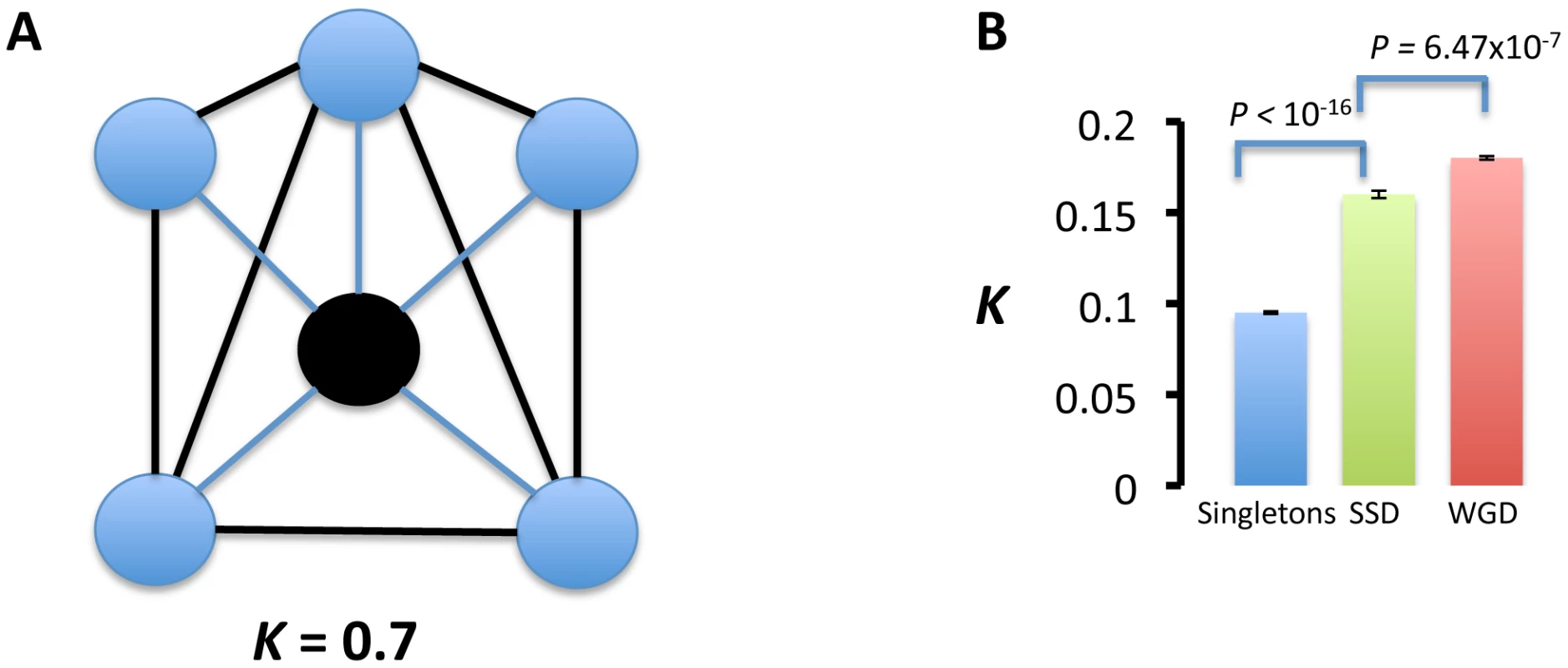 Interaction partners of duplicated genes are more functionally related than those of singletons.