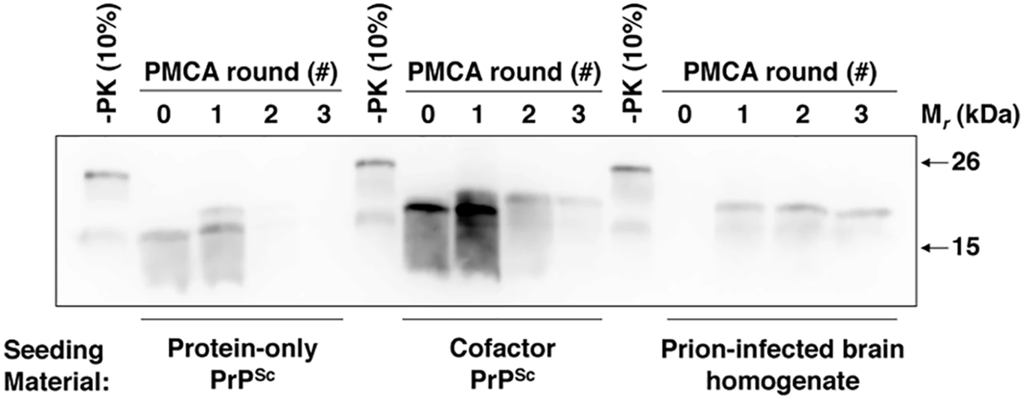 Cofactor and protein-only PrP<sup>Sc</sup> differ in their ability to template the conversion of PrP substrates containing a GPI anchor.