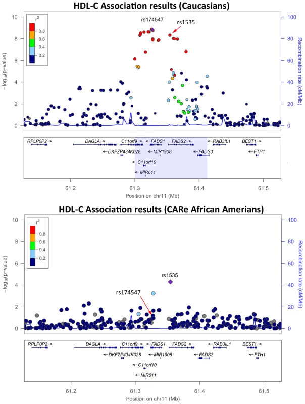 HDL-C association results in Caucasians (top panel) <em class=&quot;ref&quot;>[<b>26</b>]</em> and in the CARe African Americans (bottom panel) at the <i>FADS</i> locus.