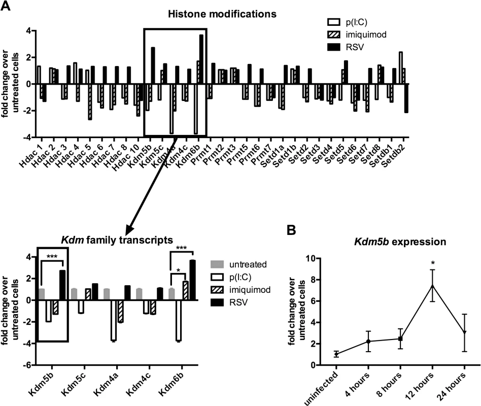 <i>Kdm5b</i> expression increases following infection of BMDCs with RSV.