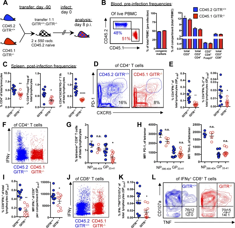 The effects of GITR-deficiency on immunity to LCMV are largely CD4 T cell-intrinsic.
