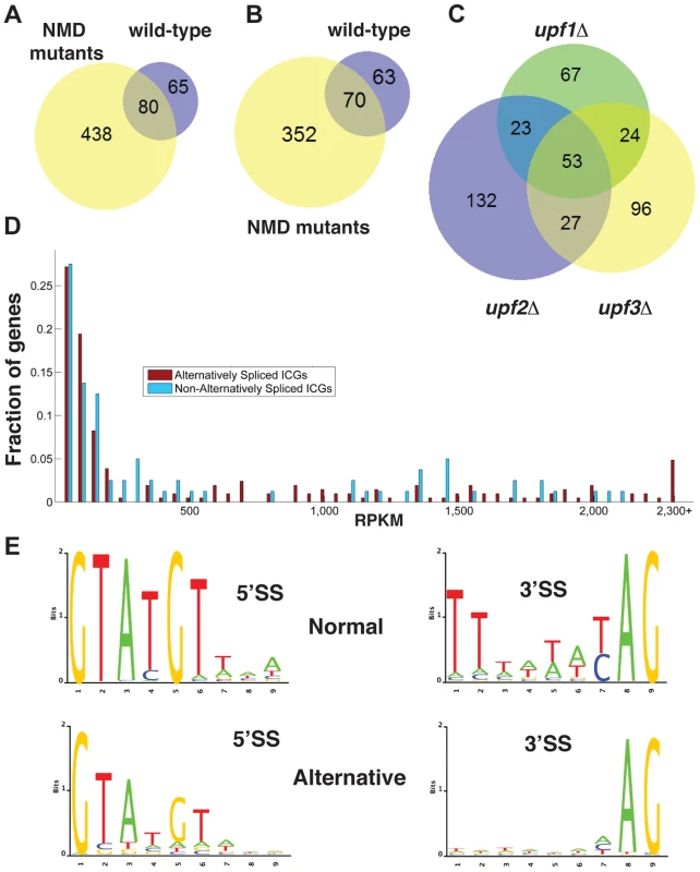 Bioinformatics analysis of alternative splice site usage in wild-type and NMD mutants.