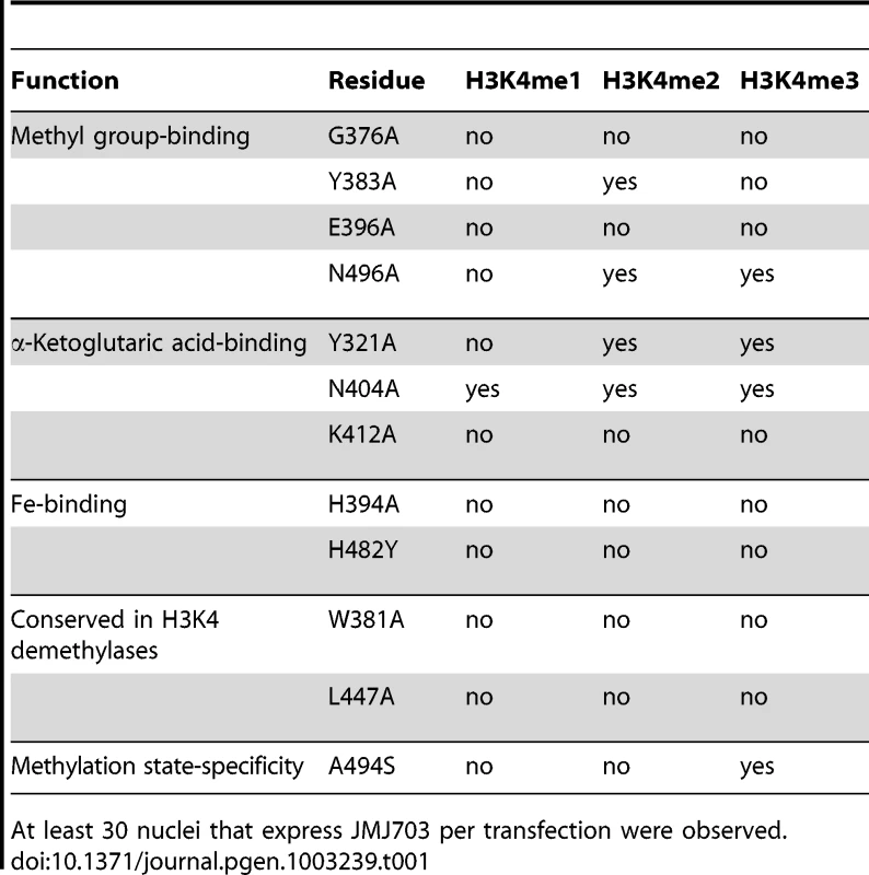 Summary of H3K4 demethylation assays in tobacco cells of substitution mutants of key residues of JMJ703 catalytic domain.
