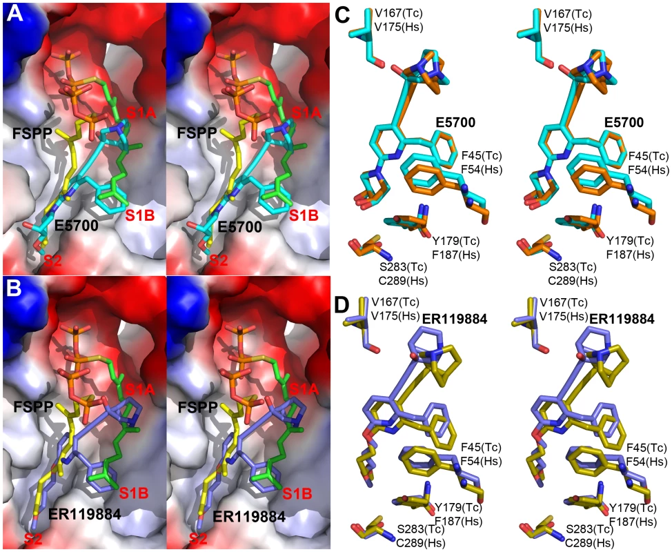 Crystal structures of E5700 and ER119884 bound to TcSQS and HsSQS.