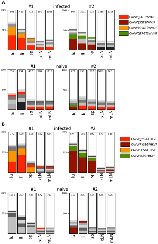Analysis of the Vγ1 and Vγ2 repertoire by high throughput 454 sequencing.