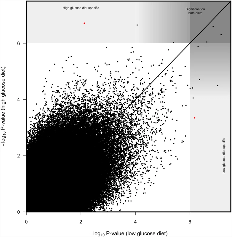 Correlation between SNP log<sub>10</sub> <i>p-</i>values from genome wide associations on high glucose diet and low glucose diet.