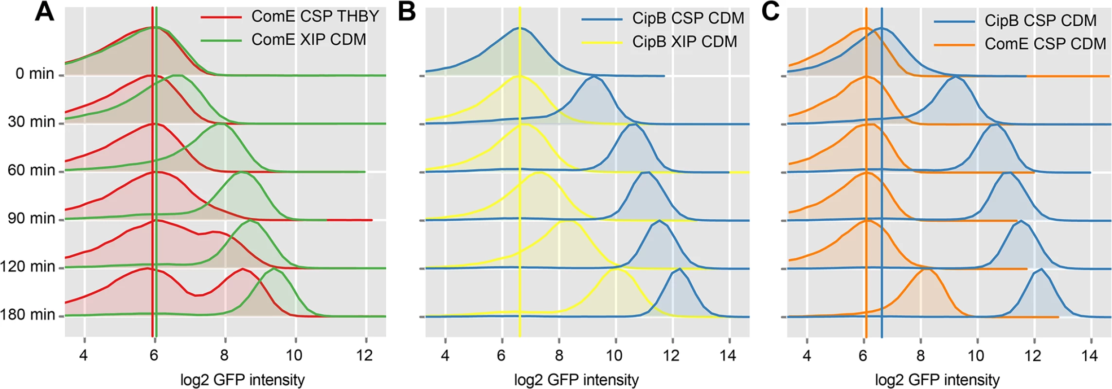 Time resolved analysis of <i>comE</i> and <i>cipB</i> expression using flow cytometry.