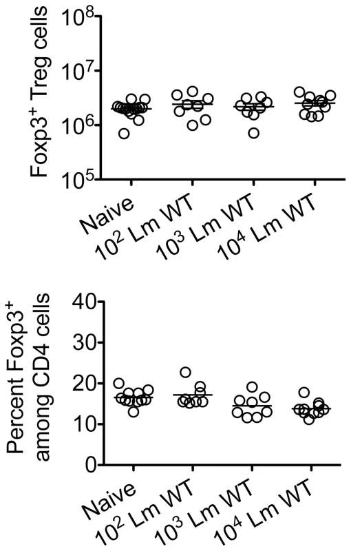 <i>Listeria monocytogenes</i> infection during pregnancy does not induce quantitative changes in maternal Foxp3<sup>+</sup> regulatory CD4 T cells.