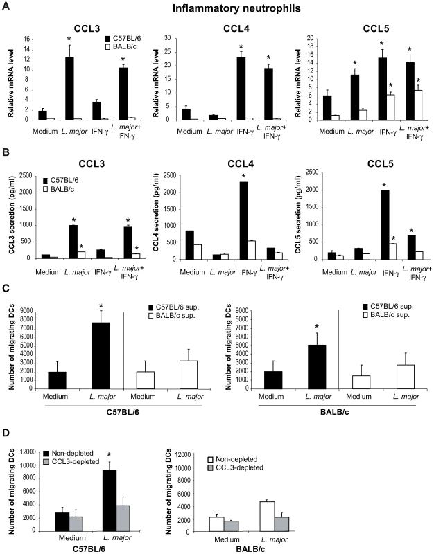 In presence of <i>L. major</i>, neutrophils produce CCL3 which chemo-attracts bone marrow-derived DCs <i>in vitro</i>.