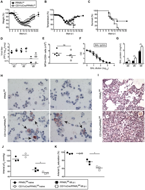 CD11c-Cre/<i>Pparg<sup>fl/fl</sup></i> mice have a reduced resistance to influenza virus infection despite an intact antiviral adaptive response.