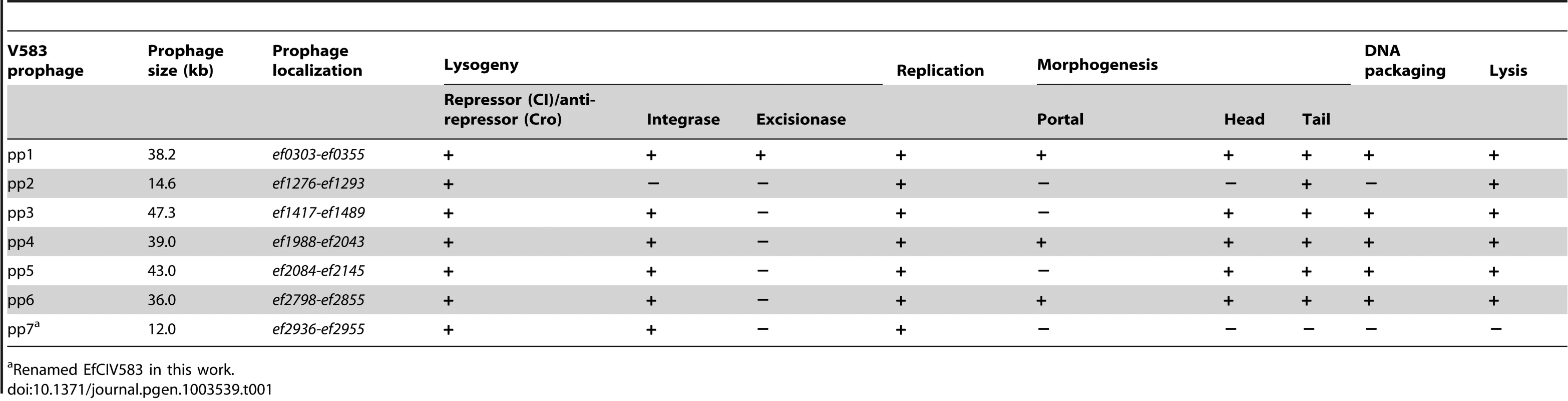 Summary of predicted essential phage functions in V583 prophages.