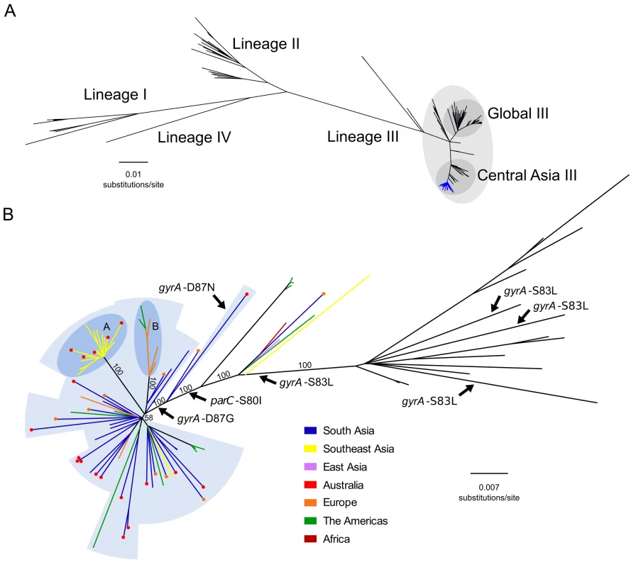 The phylogenetic structure of ciprofloxacin-resistant <i>Shigella sonnei</i> in an international context.