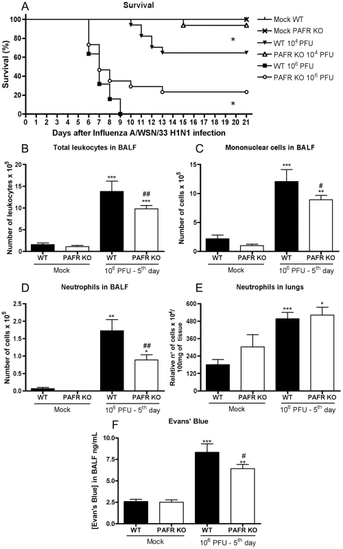 Lethal and mild Influenza A/WSN/33 H1N1 infections were less severe in PAFR KO deficient mice.