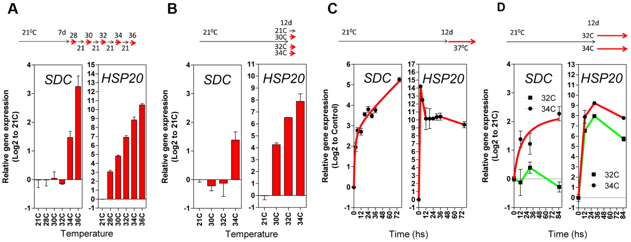 Transcriptional patterns of <i>SDC</i> expression under heat compared to a typical heat-shock gene.