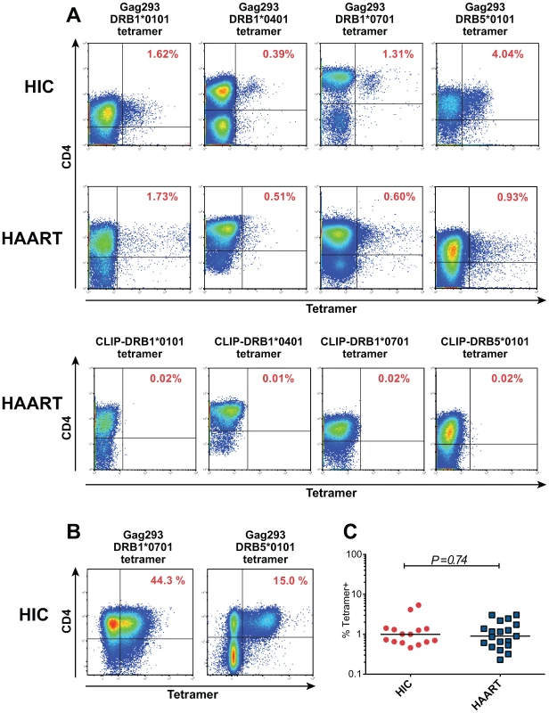 Characterization of HIV specific CD4+ T cells by MHC class II tetramer staining.