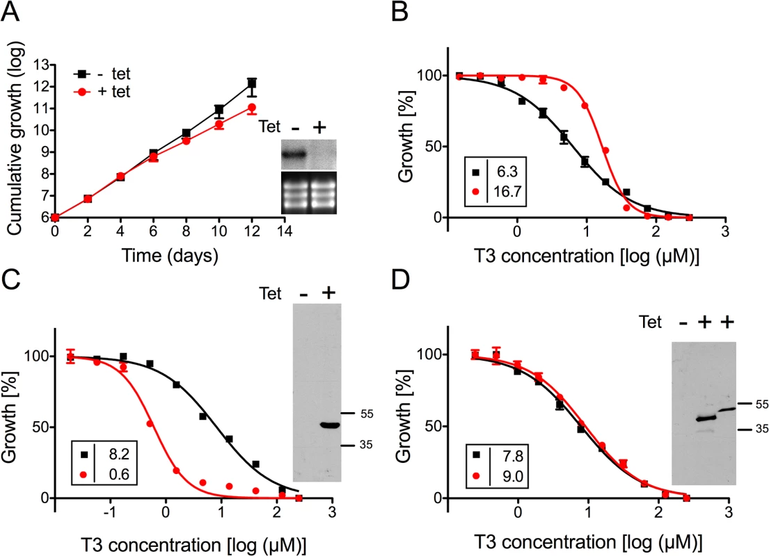 Sensitivity of <i>T</i>. <i>brucei</i> procyclic forms towards T3 after modulation of TbMCP14 expression.