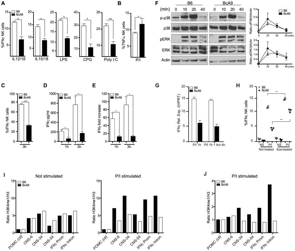 Decreased IFNγ production by BcA9 NK cells is independent of impaired MAP kinase pathway signaling or RNA instability.