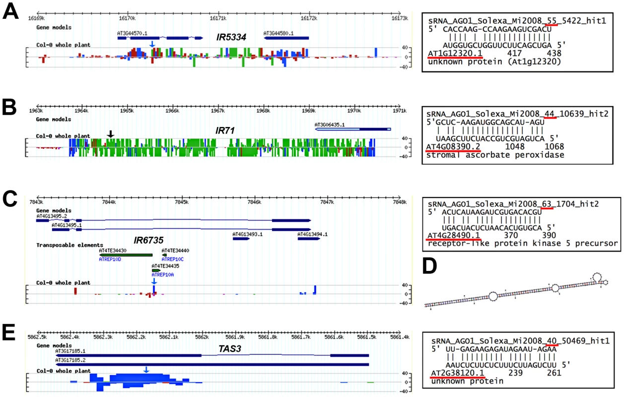 Using the AGO1-IP read filter in conjunction with VSR microarray data uncovers possibly novel <i>IR</i>- and<i>TAS</i>-derived siRNA target transcripts with altered accumulation by VSRs.