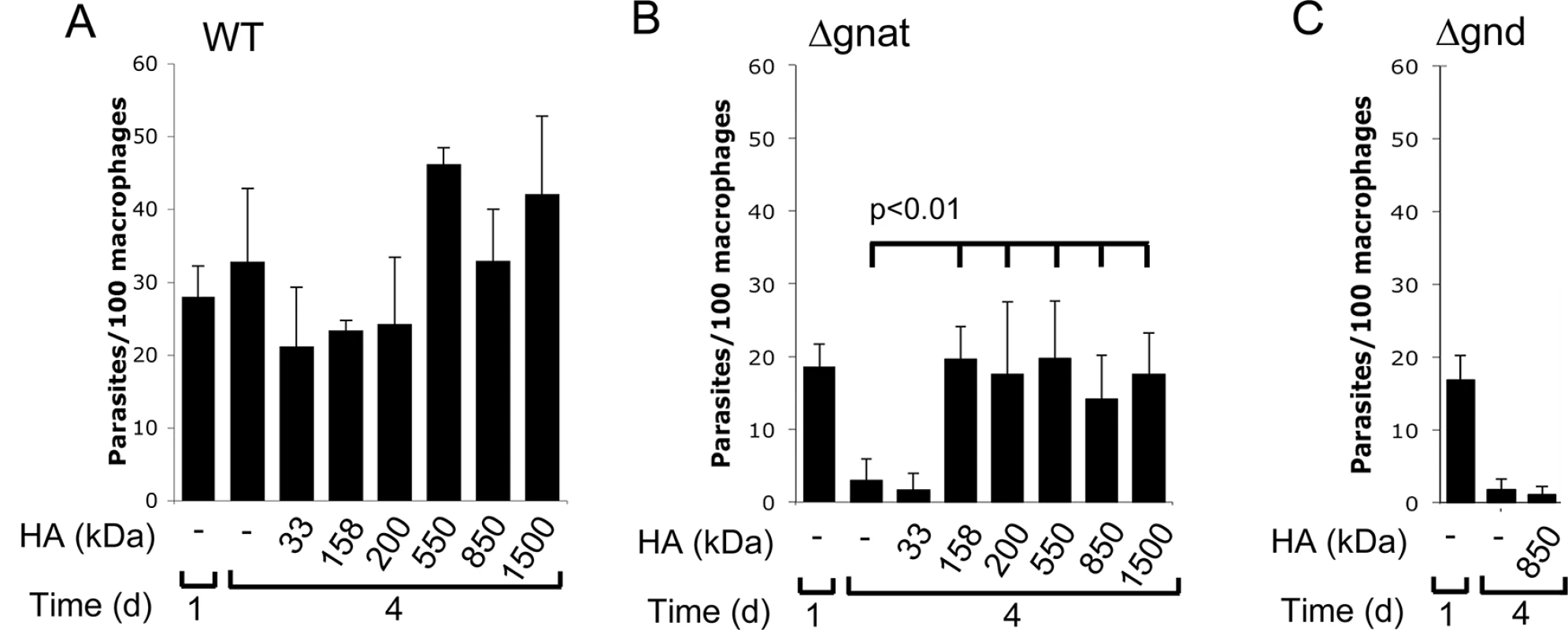 High molecular weight hyaluronan rescue intracellular ∆<i>gnat</i> parasites.