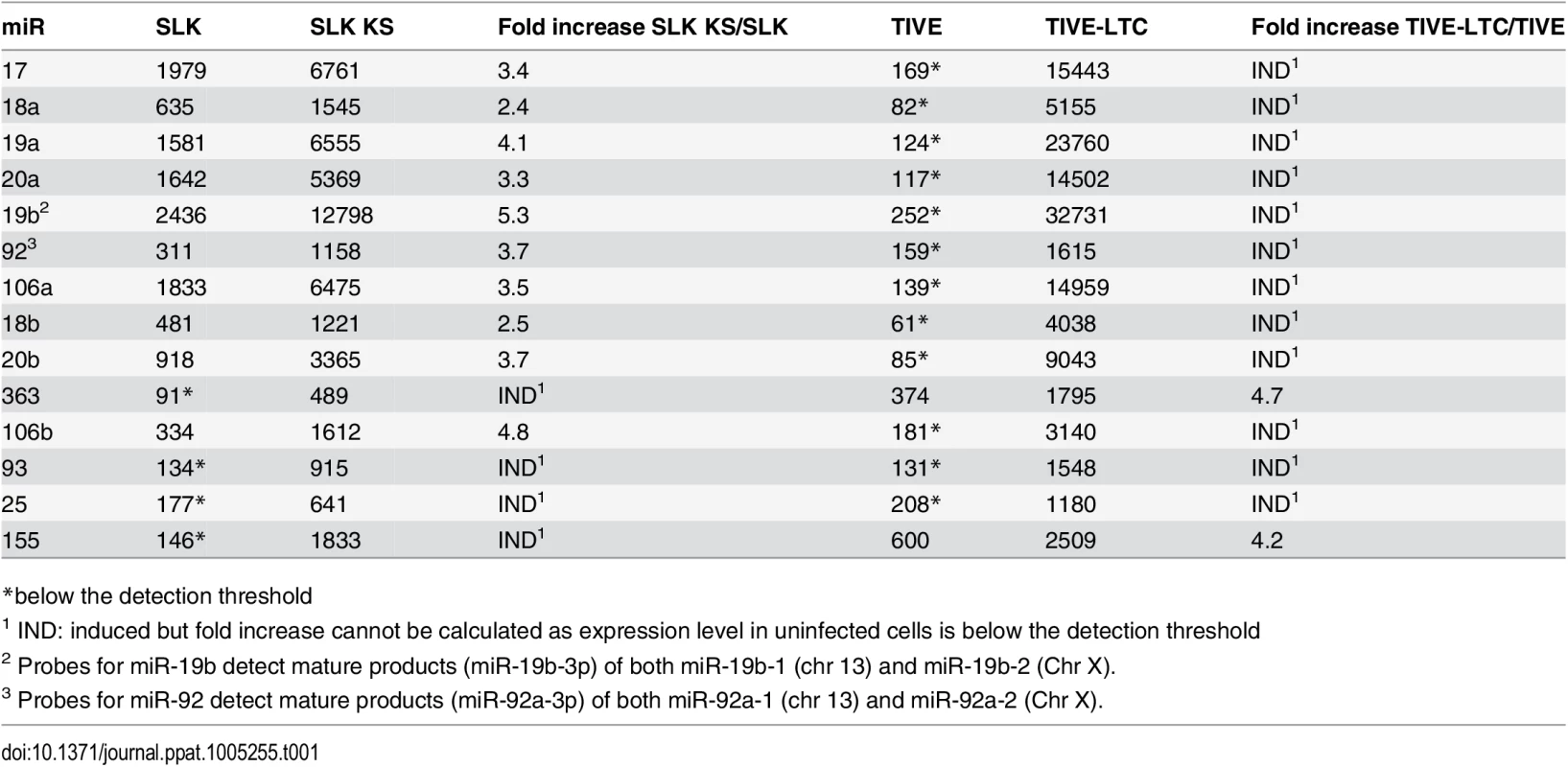Expression of miRNAs in uninfected and KSHV-infected SLK and TIVE cells.