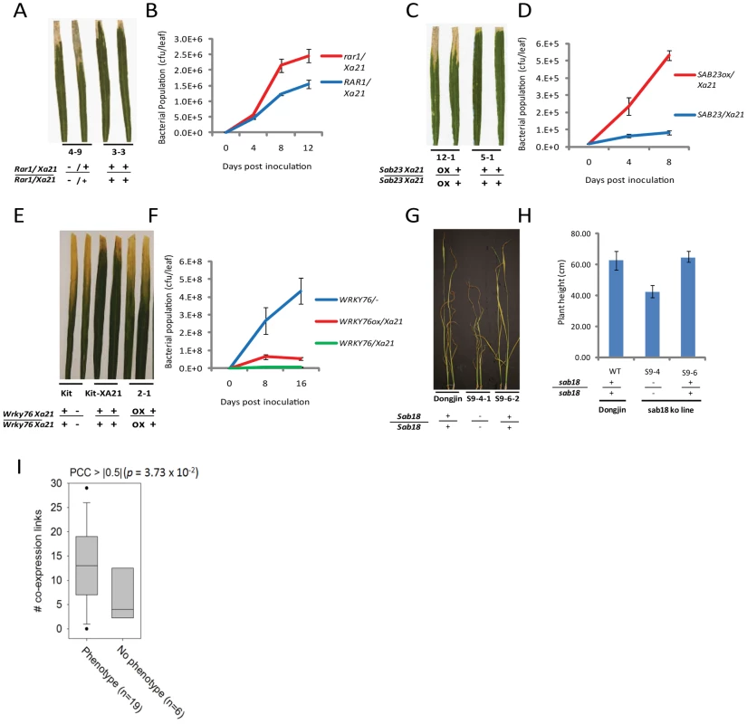 Representative evidence that interactome components function in rice stress responses.