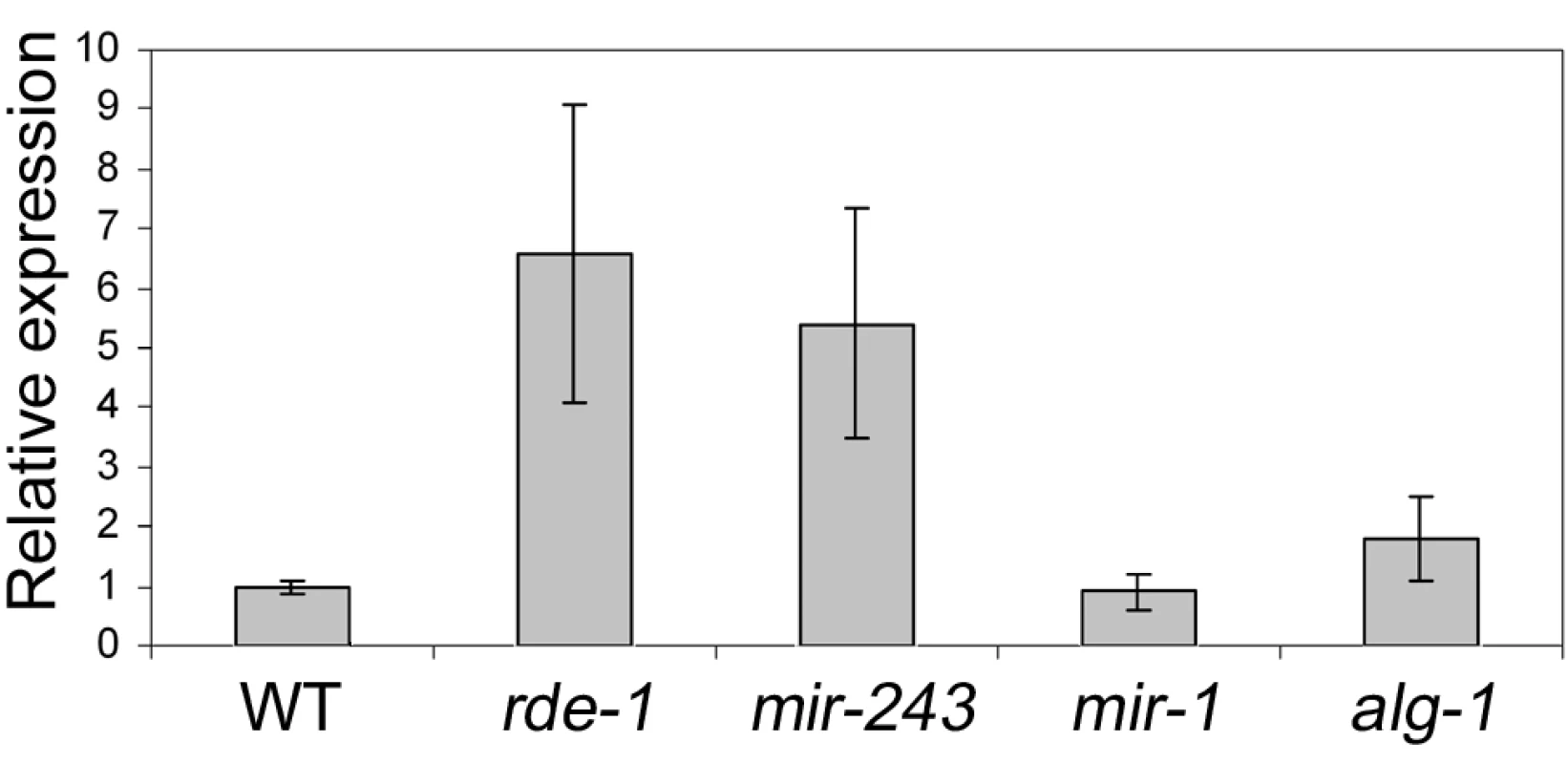 Y47 transcript is upregulated in RNAi– or miR-243–deficient worms.