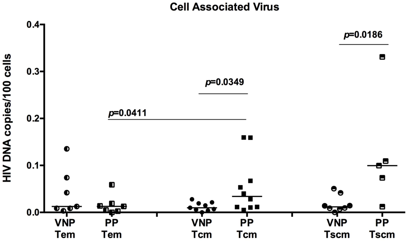 VNPs have decreased HIV infection of central memory and stem cell memory T cells.
