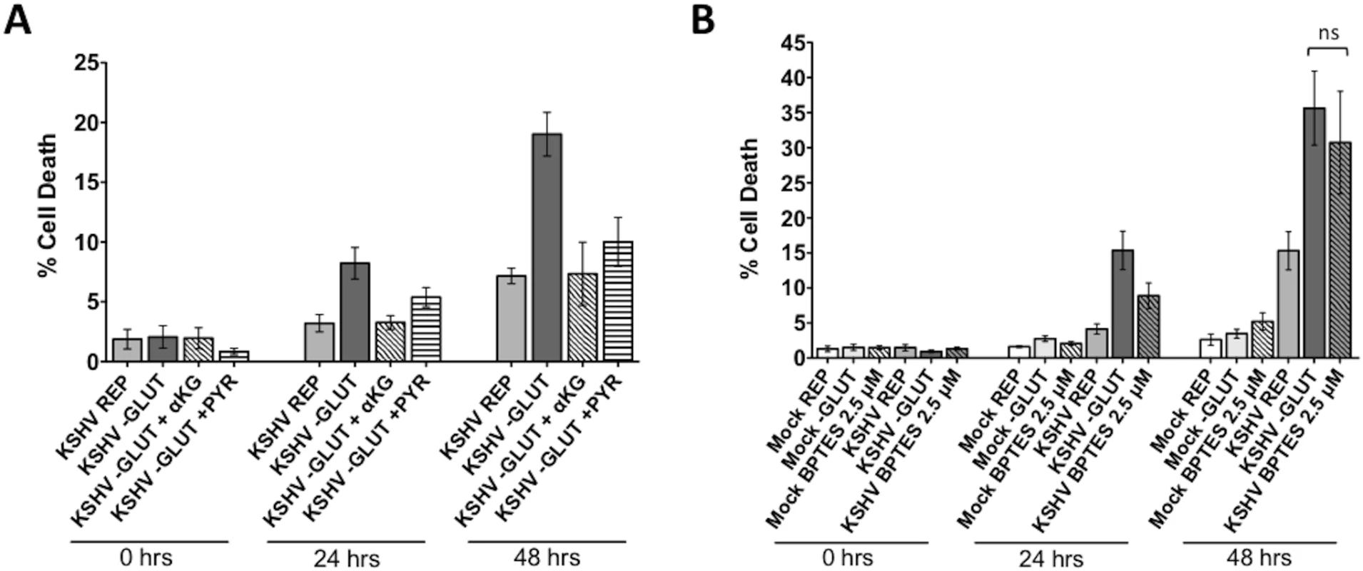 Glutamine is required for glutaminolysis in KSHV-infected endothelial cells.