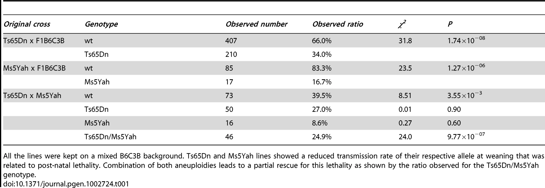 Transmission rates of the Ts65Dn and Ms5Yah alleles observed at weaning in Ts65Dn, Ms5Yah, and Ts65Dn/Ms5Yah mice.