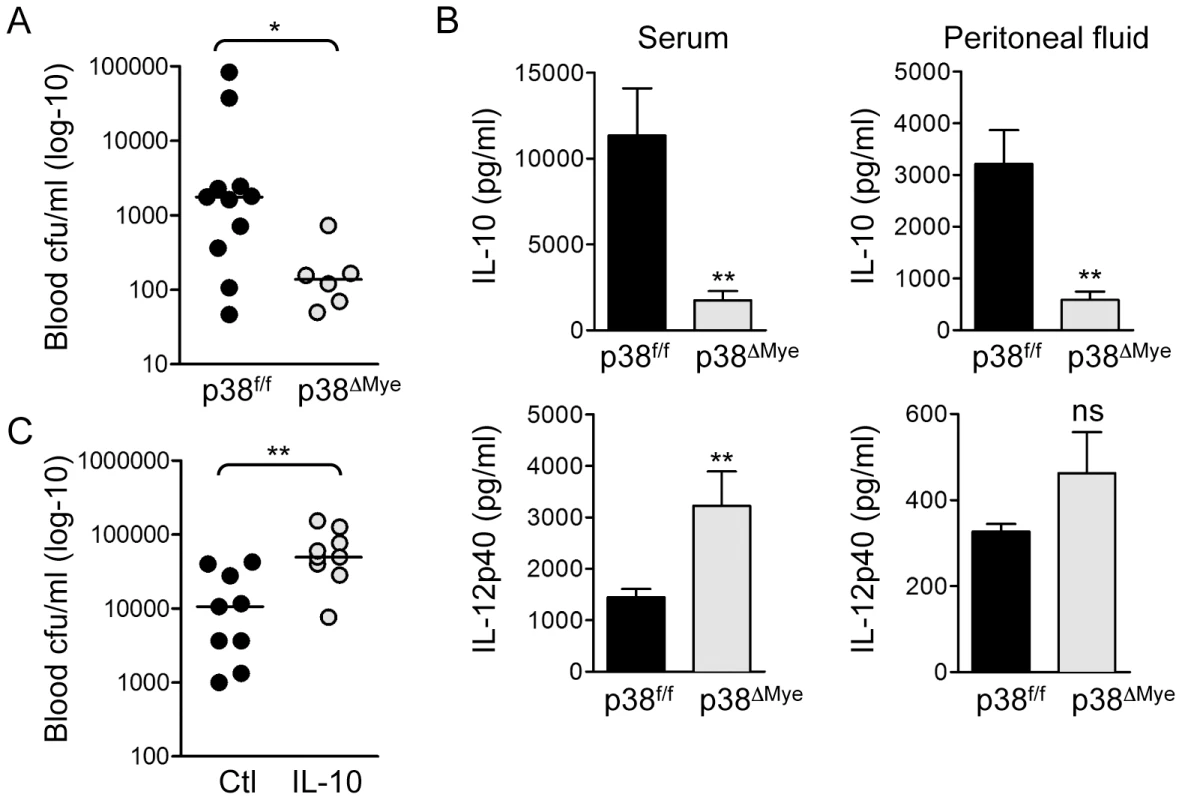 Targeted deletion of p38 in macrophages increases resistance to invasive GBS infection <i>in vivo</i>.