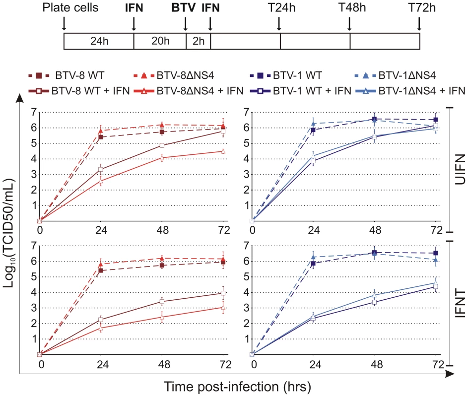 <i>In vitro</i> growth properties of rescued WT and ΔNS4 viruses during interferon treatment.