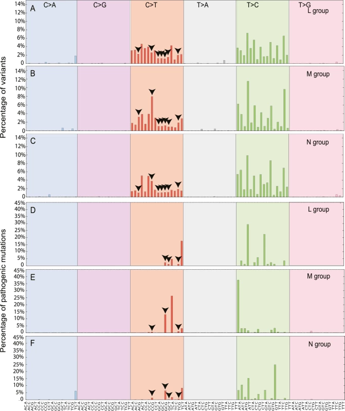 The mutational signatures observed in 30,506 mtDNA sequences.