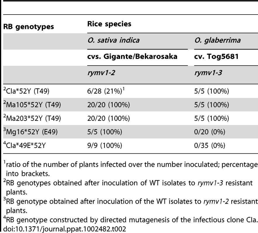 Infectivity of RYMV isolates with T49 or E49 and RB mutation *52Y after inoculation of <i>rymv1-2</i> and <i>rymv1-3</i> rice resistant cultivars.