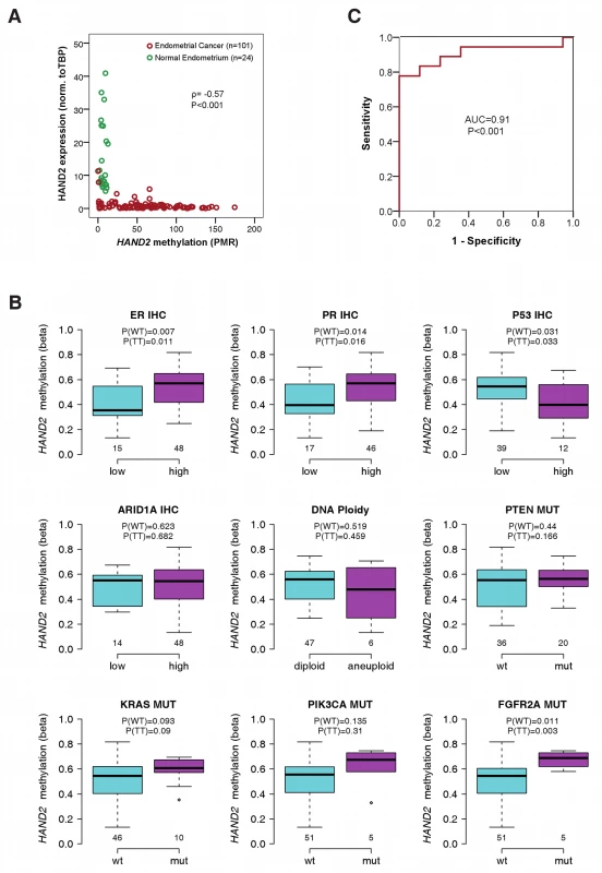 Association of <i>HAND2</i> methylation with molecular and clinical features in invasive endometrial cancer.