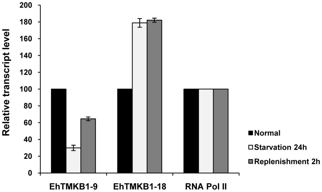 Expression analysis of EhTMKB1-9 and 18 by qRT-PCR.