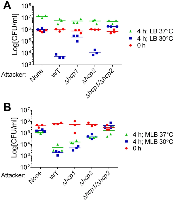 Antibacterial activities of <i>V</i>. <i>alginolyticus</i> T6SSs are differentially regulated by salinity and temperature.