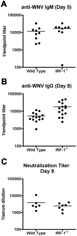 Antibody responses in <i>IRF-1</i><sup>-/-</sup> mice remain intact after WNV infection.