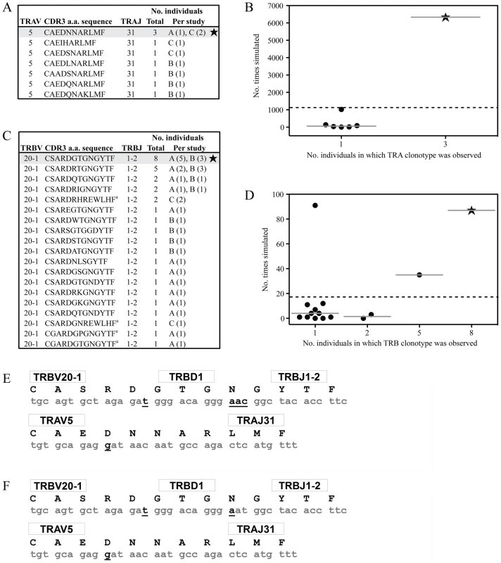 Convergent recombination analysis of the AS01 TCR.