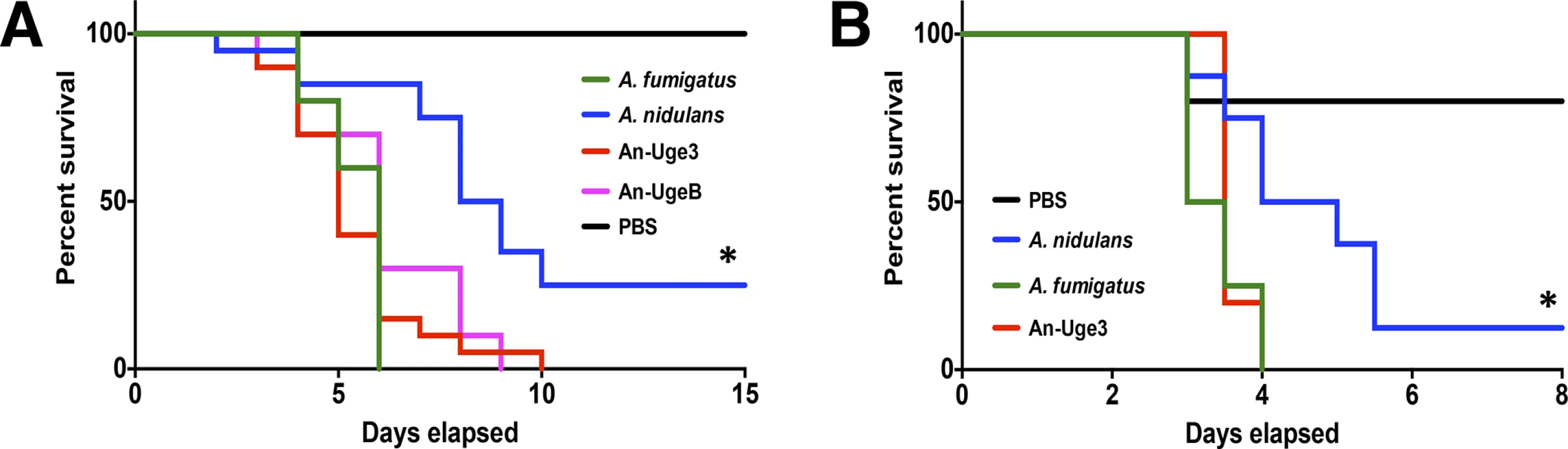 Overexpression of <i>uge3</i> in <i>A</i>. <i>nidulans</i> increases virulence in mice.