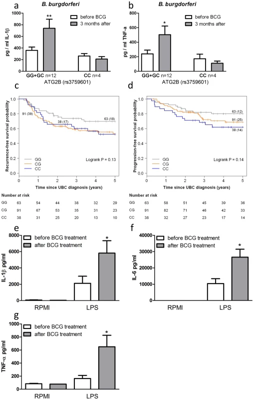 SNP in <i>ATG2B</i> affects the efficacy of <i>in vivo</i> BCG-induced trained immunity.