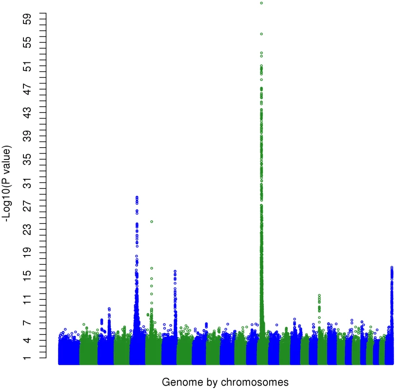 The Manhattan plot showing the −log&lt;sub&gt;10&lt;/sub&gt;(&lt;i&gt;P&lt;/i&gt;-values) of SNPs of the multi-trait test of the whole genome except the X chromosome.