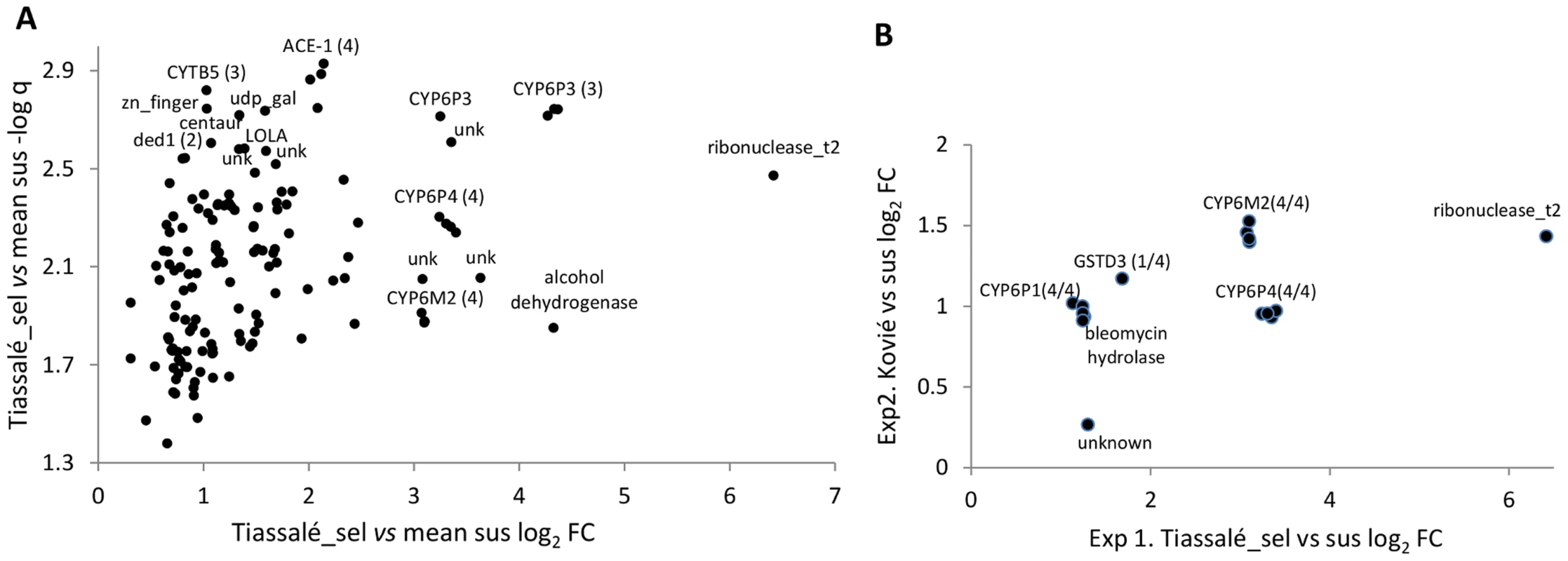 Genes significantly overexpressed (relative to susceptible samples) in (A) Tiassalé bendiocarb resistant samples in Exp1, and (B). both Tiassalé and Kovié samples.